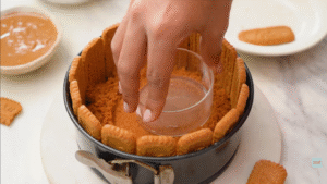 Eggless Biscoff Cheesecake Recipe No Bake (2)