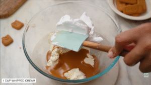 Eggless Biscoff Cheesecake Recipe No Bake (3)