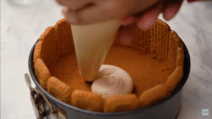 Eggless Biscoff Cheesecake Recipe No Bake (4)