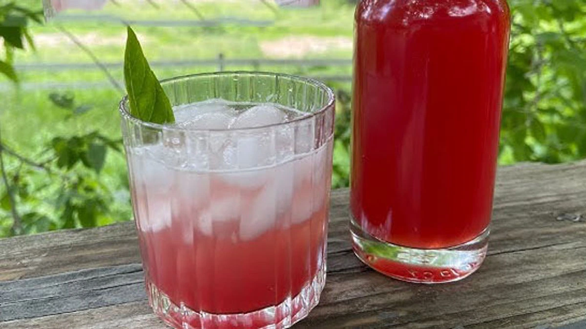 Rhubarb Cordial Recipe
